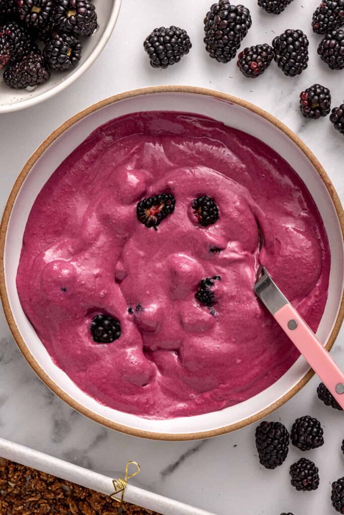 Chunky blackberry filling mixture for frozen dessert bars