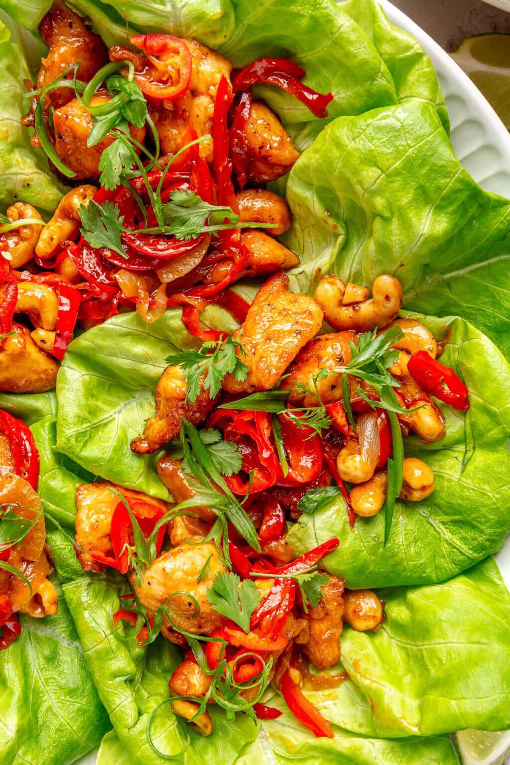 Szechuan Chicken Lettuce Wraps Rachael's Good Eats