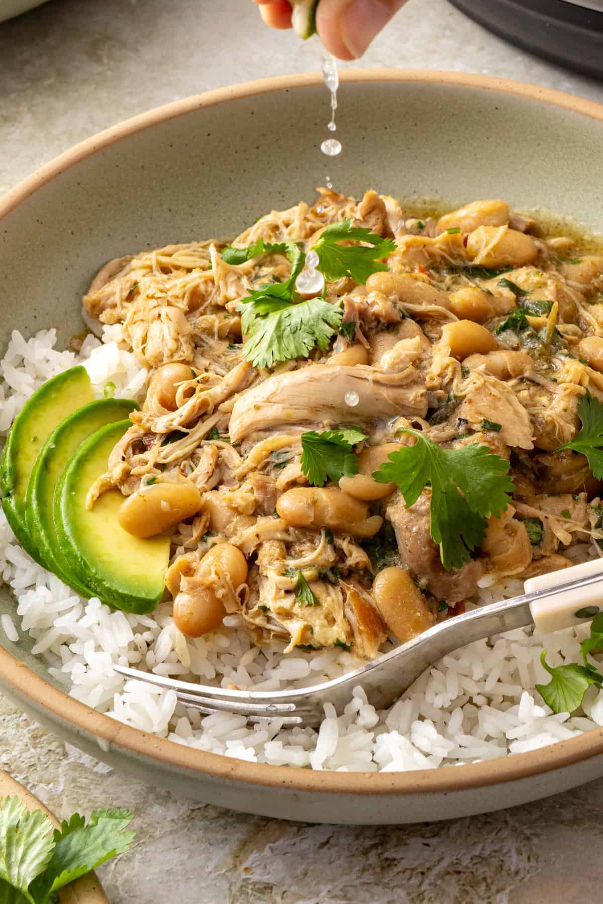 Green enchilada chicken and white beans served over rice with avocado, cilantro, and fresh lime juice