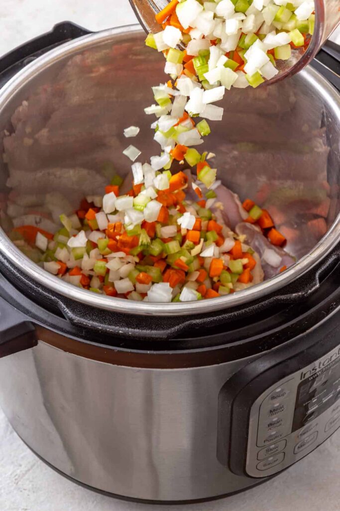 Chicken, onion, celery, and carrot, in the Instant Pot
